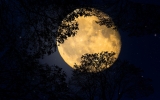 W piątek częściowe zaćmienie „truskawkowego Księżyca”
