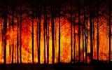 Biolog środowiskowa z UW: naturalne pożary w rejonie śródziemnomorskim stanowią nie więcej niż 1-5 proc.
