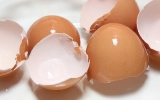 Naturalne nawozy cz. III – skorupki po jajkach